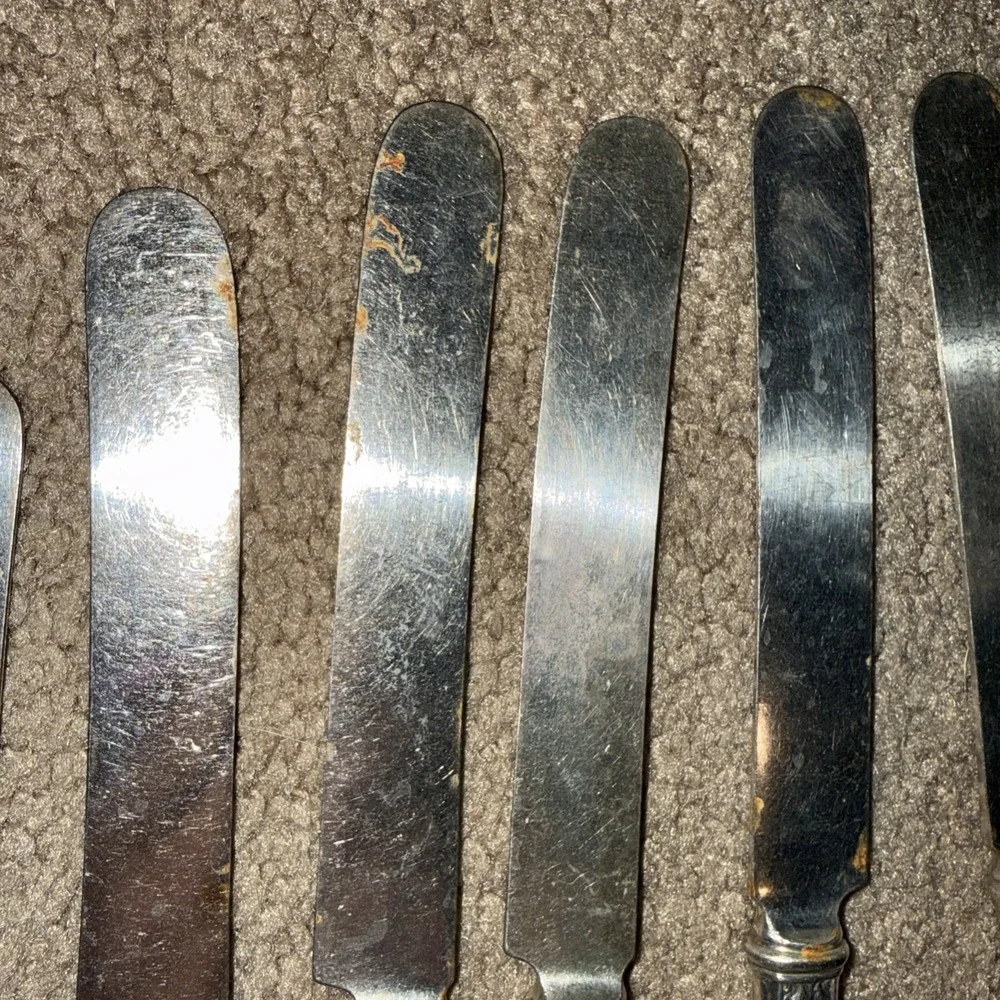 Vintage 1847 Roger's Bros Ambassador Pattern Knives 6